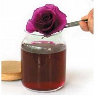 Asesoria virtual on line en producción de flor natural preservada